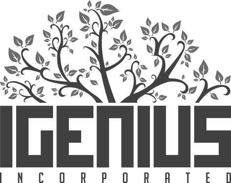IGenius Inc